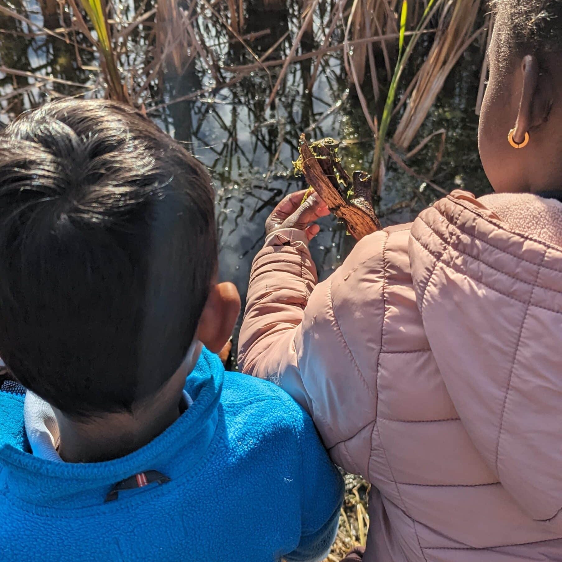 Exploring by the marsh area