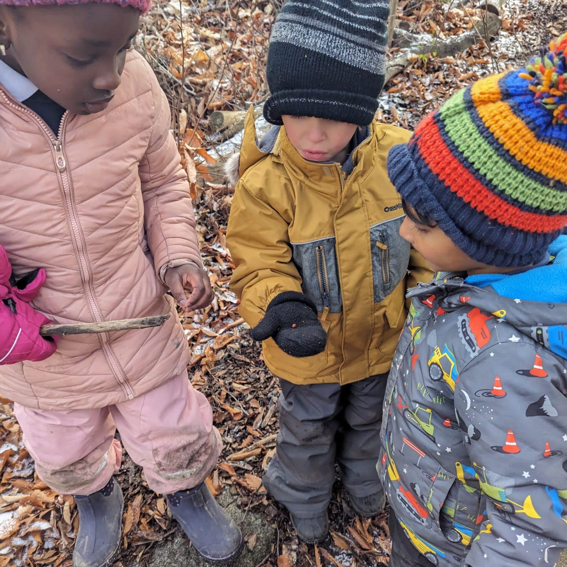 Exploring the outdoors